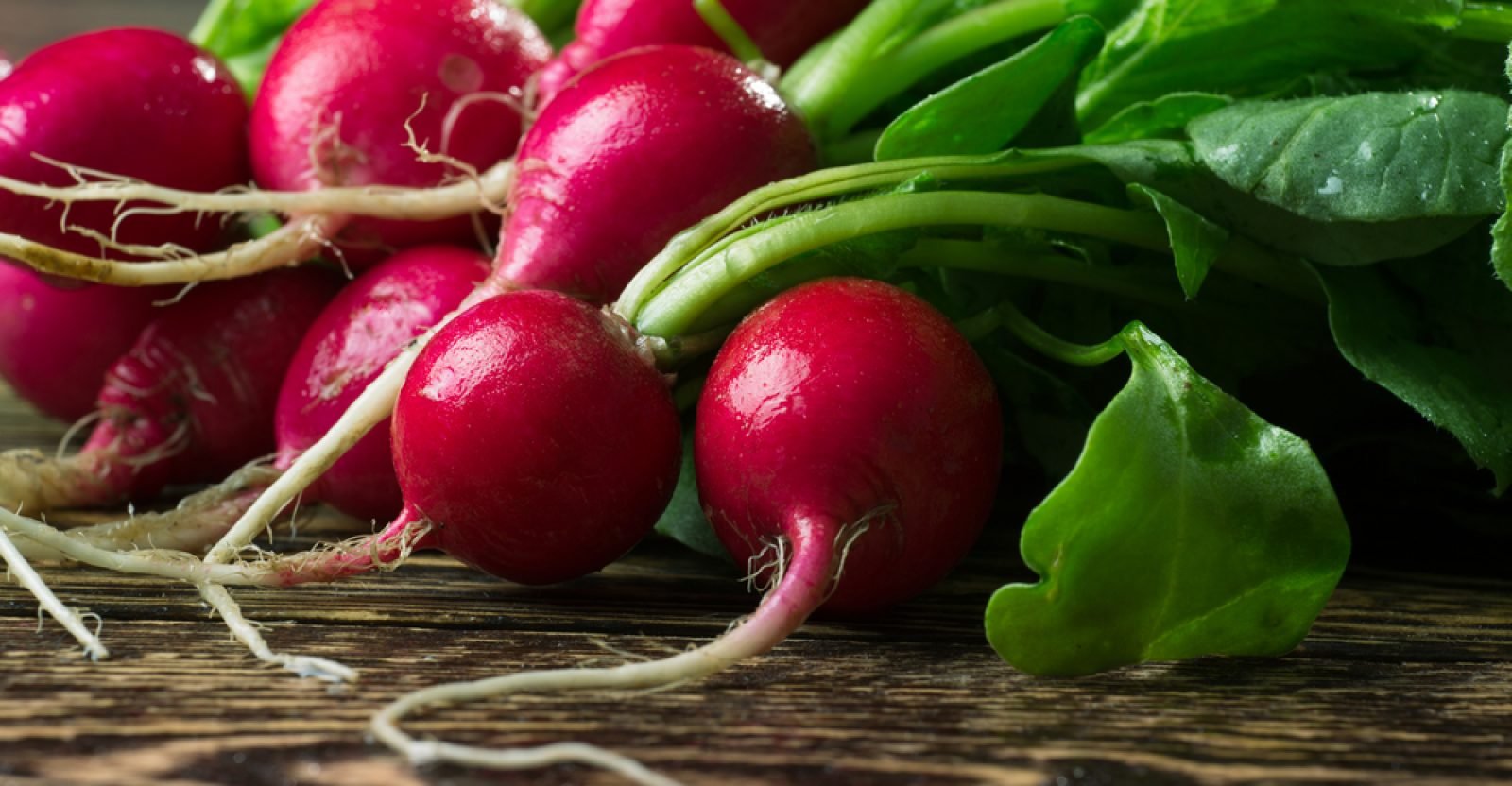 Amazing Health Benefits Of Radish Natural Food Series