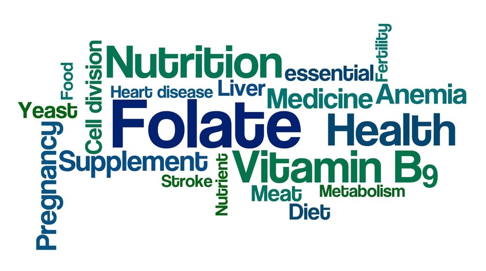 Folate health benefits
