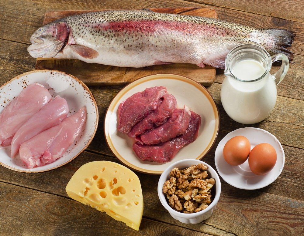 13 Health Benefits of Eating Protein Foods
