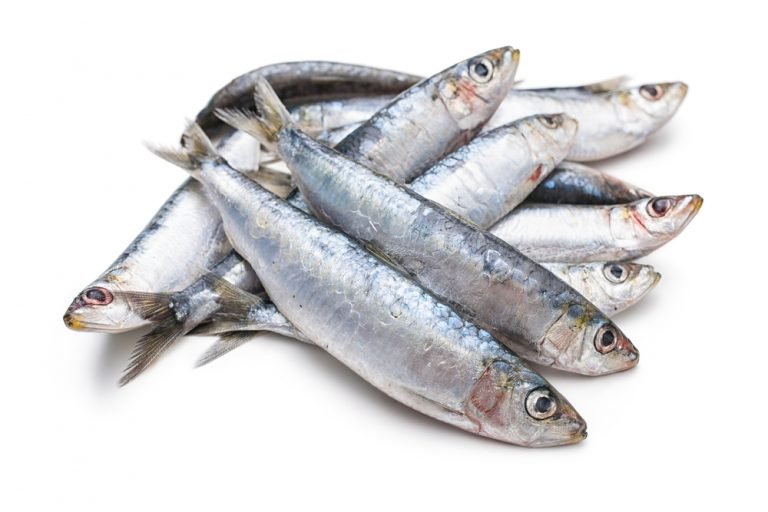 11 Amazing Health Benefits of Sardines