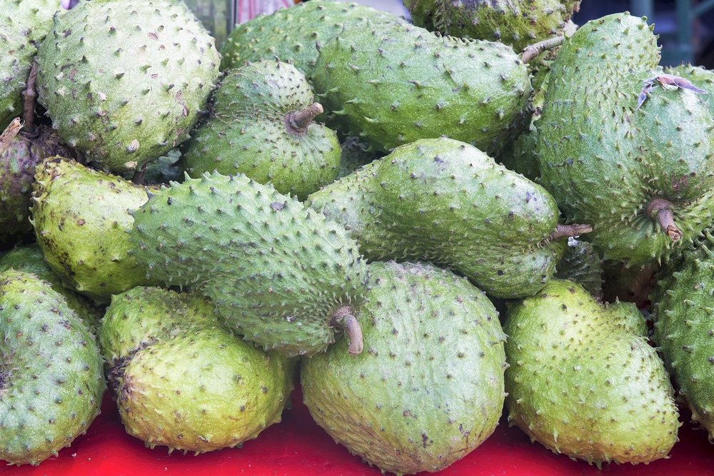 Soursop health benefits