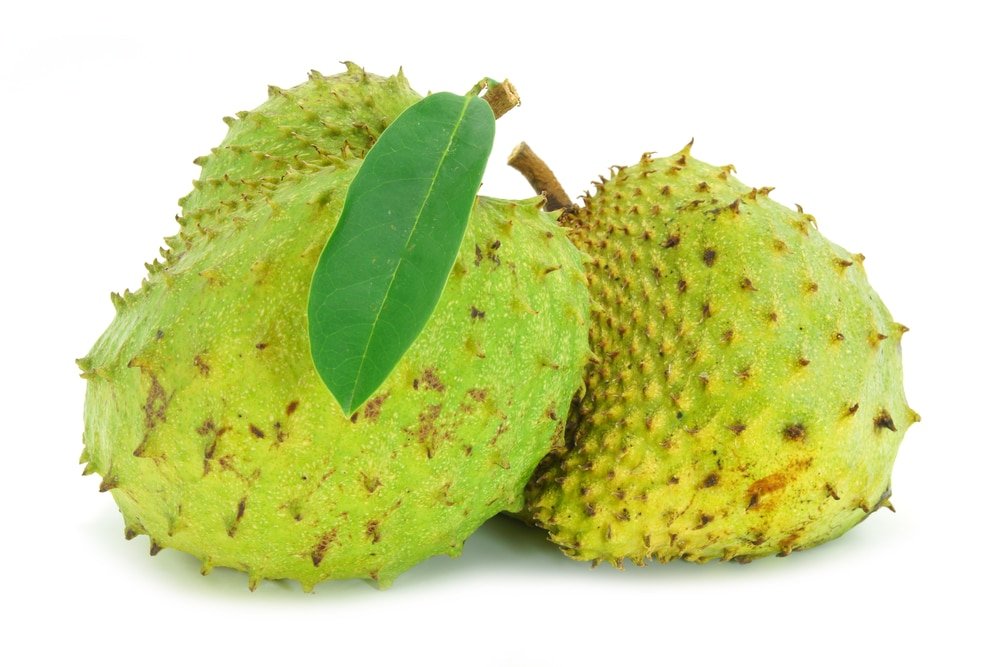 Soursop health benefits and uses