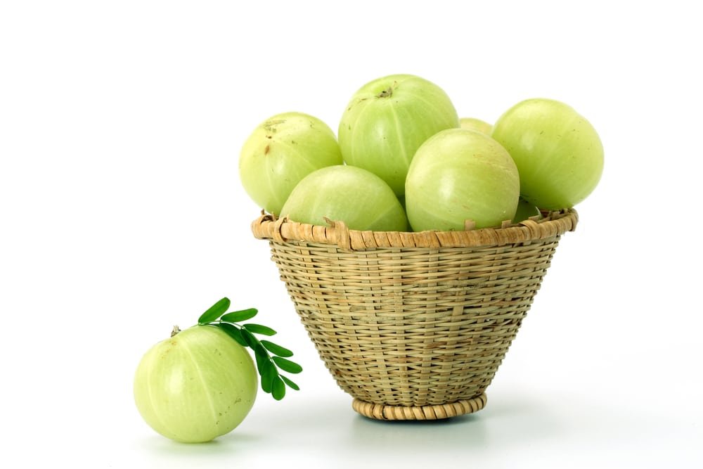 Amla Indian Gooseberry