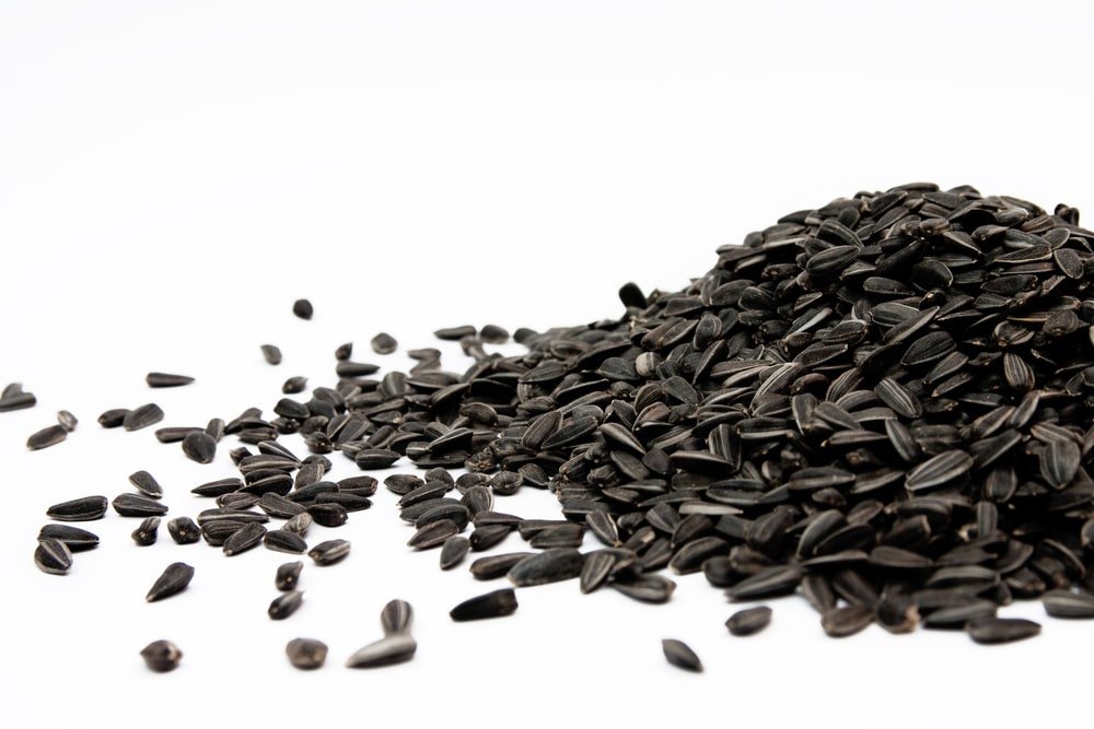 Black Seed Oil