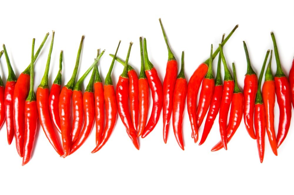 Red chili pepper