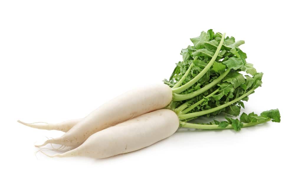 11 Amazing Health Benefits of Daikon