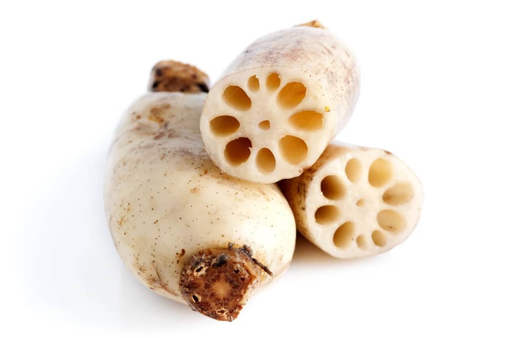 Lotus Roots