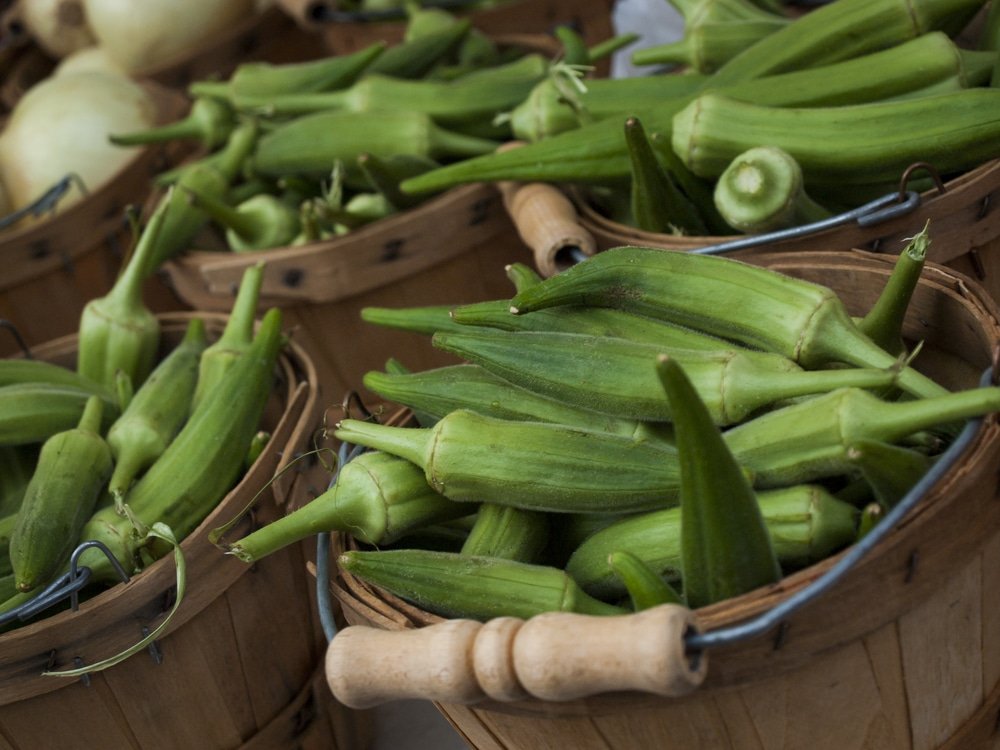 Okra health benefits