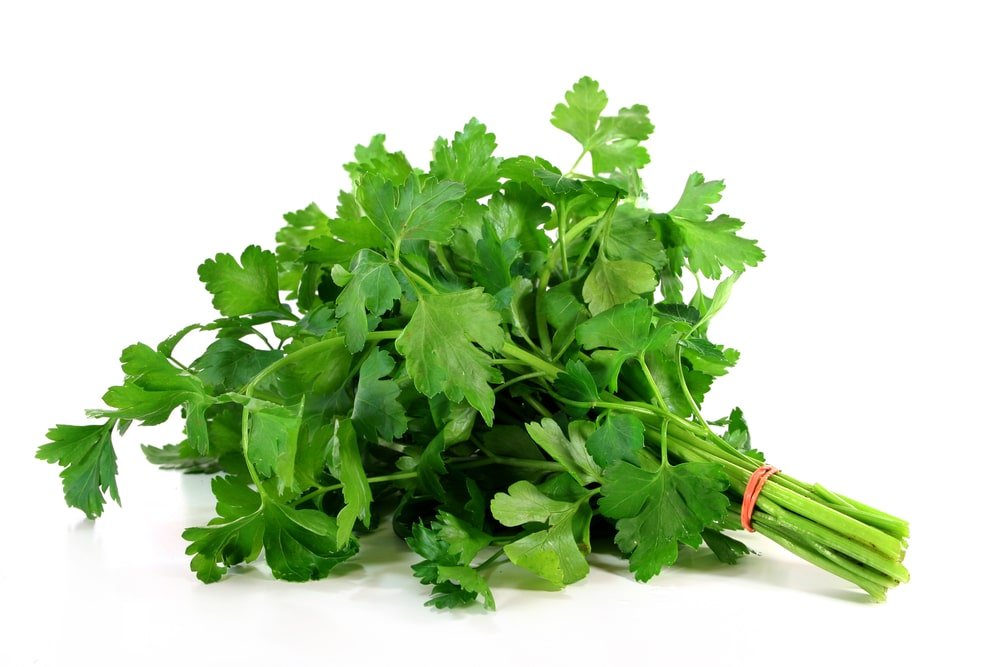 11 Wonderful Health Benefits of Parsley