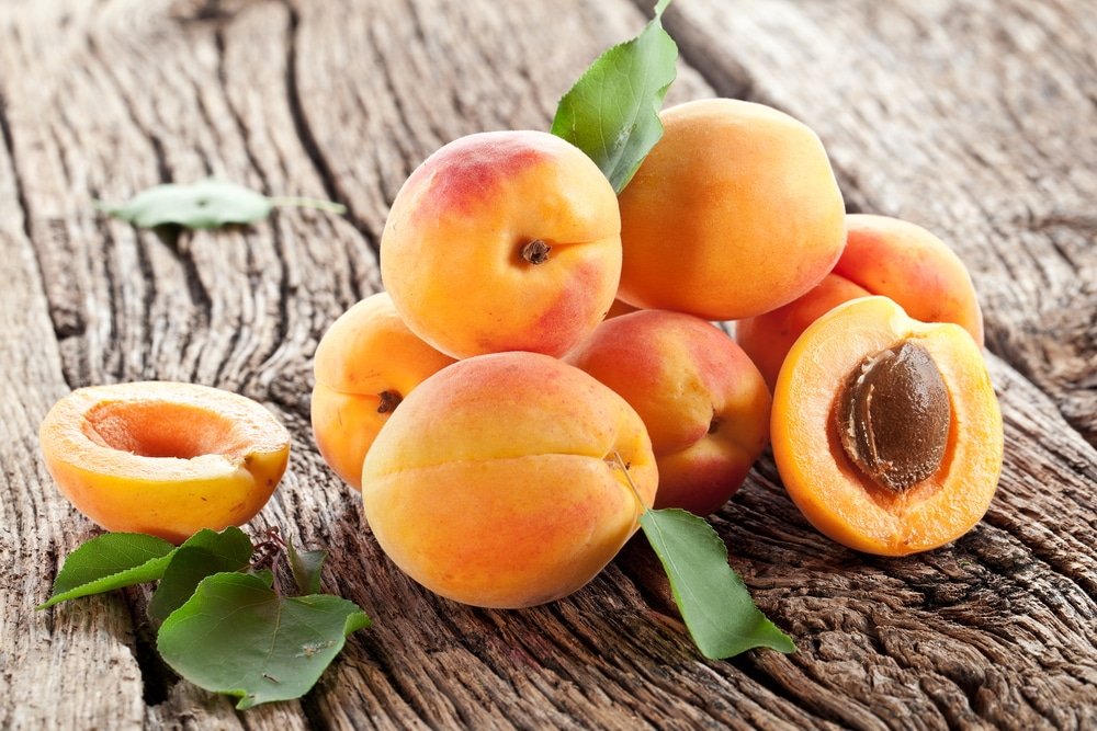 11 Impressive Health Benefits of Apricot