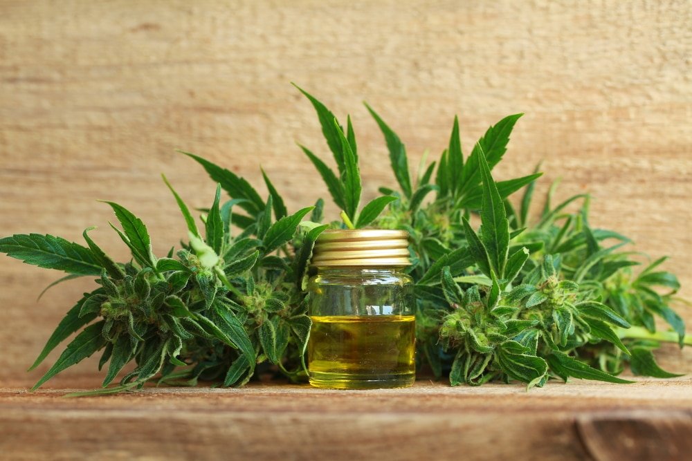 11 Surprising Health Benefits of Cannabis Essential Oil