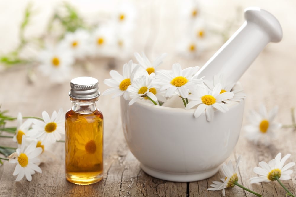 11 Health Benefits Of Chamomile Essential Oil Natural Food Series