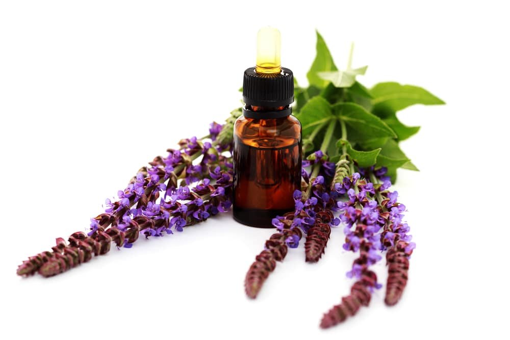 13 Amazing Benefits of Clary sage Oil