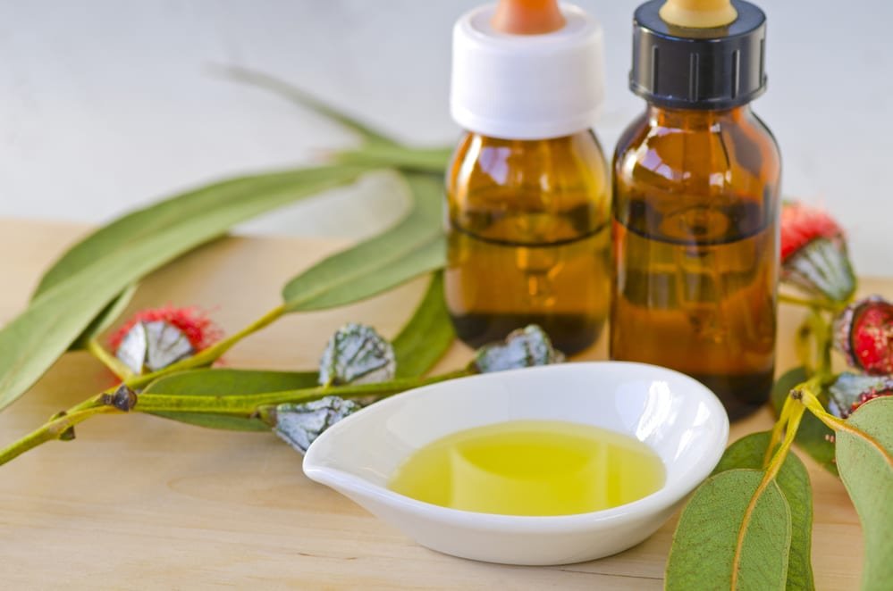 11 Health Benefits of Eucalyptus Essential Oil