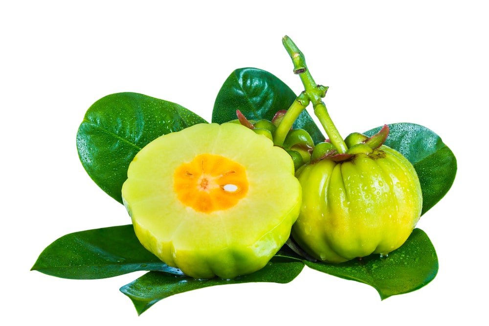 Benefits of Garcinia Cambogia