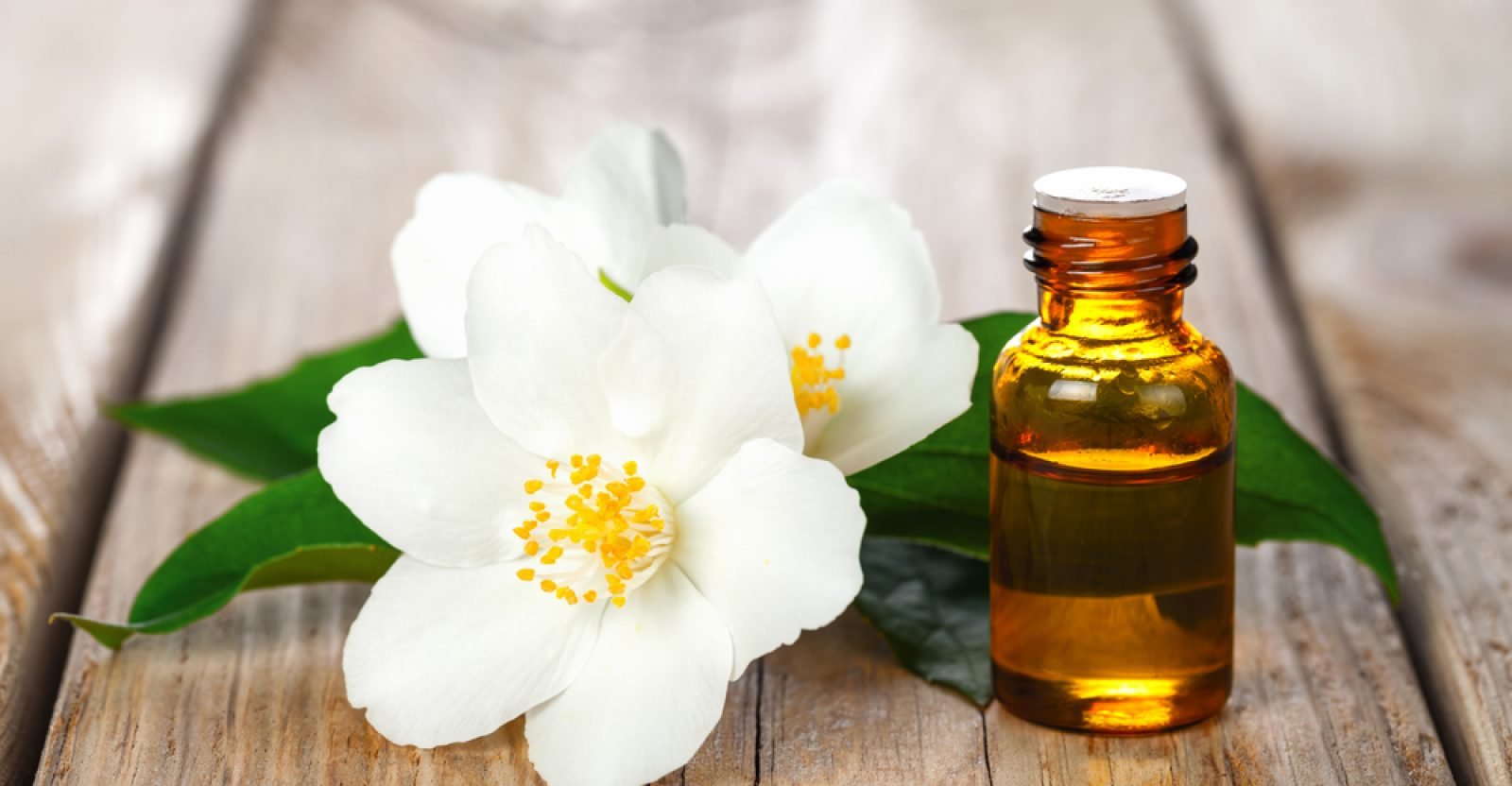 13 Surprising Benefits Of Jasmine Essential Oil - Natural Food Series