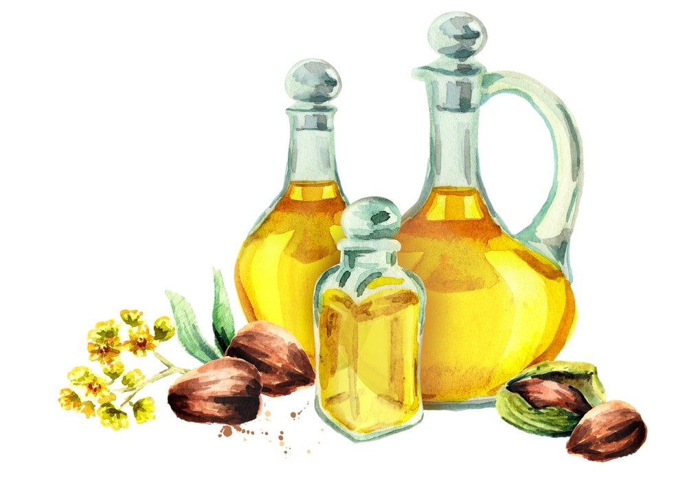 13 Surprising Health Benefits Of Jojoba Oil