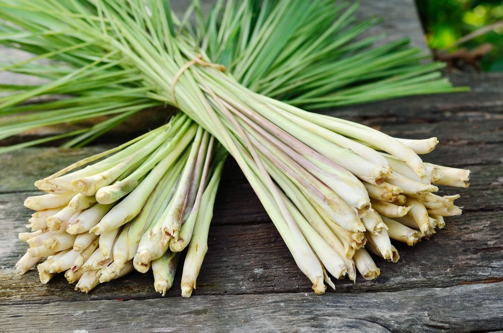 lemongrass Health benefits