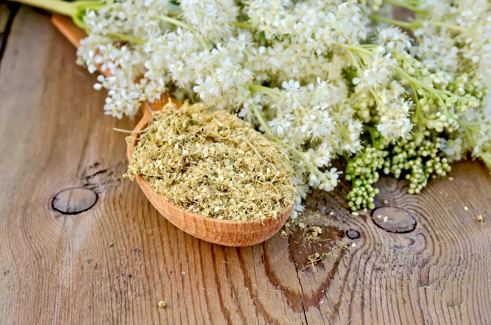 11 Proven Health Benefits of Meadowsweet