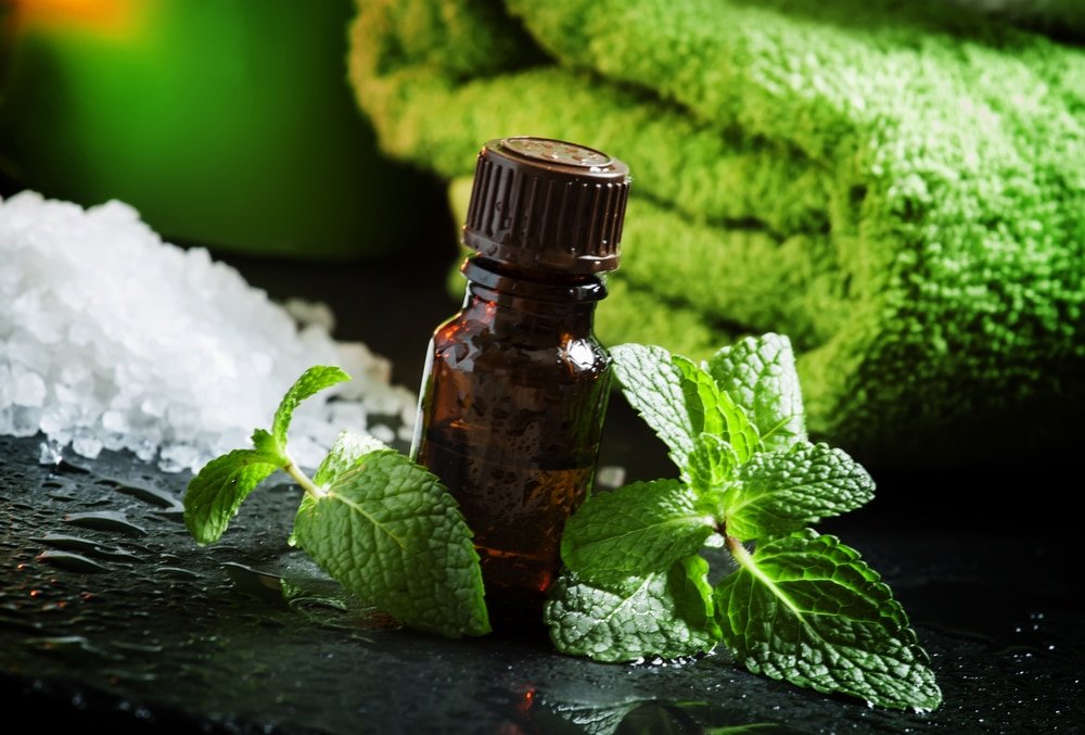 peppermint essential oil benefits