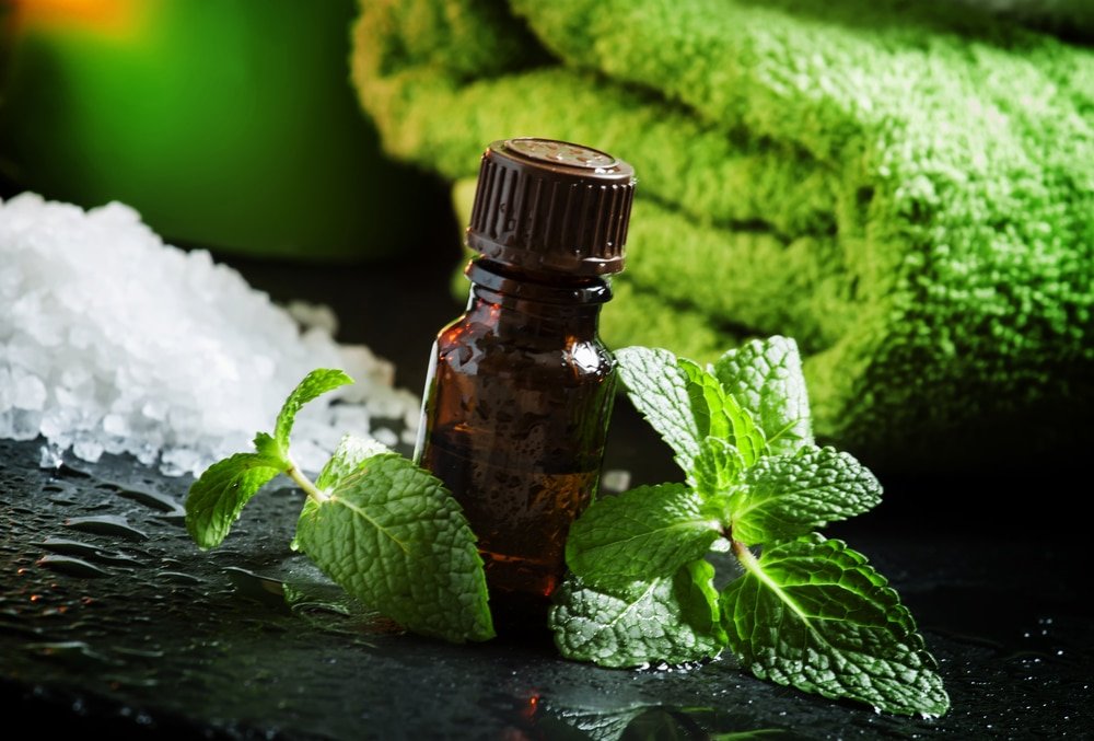 peppermint oil benefits for thyroid