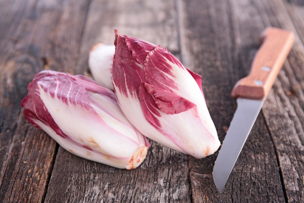 Radicchio