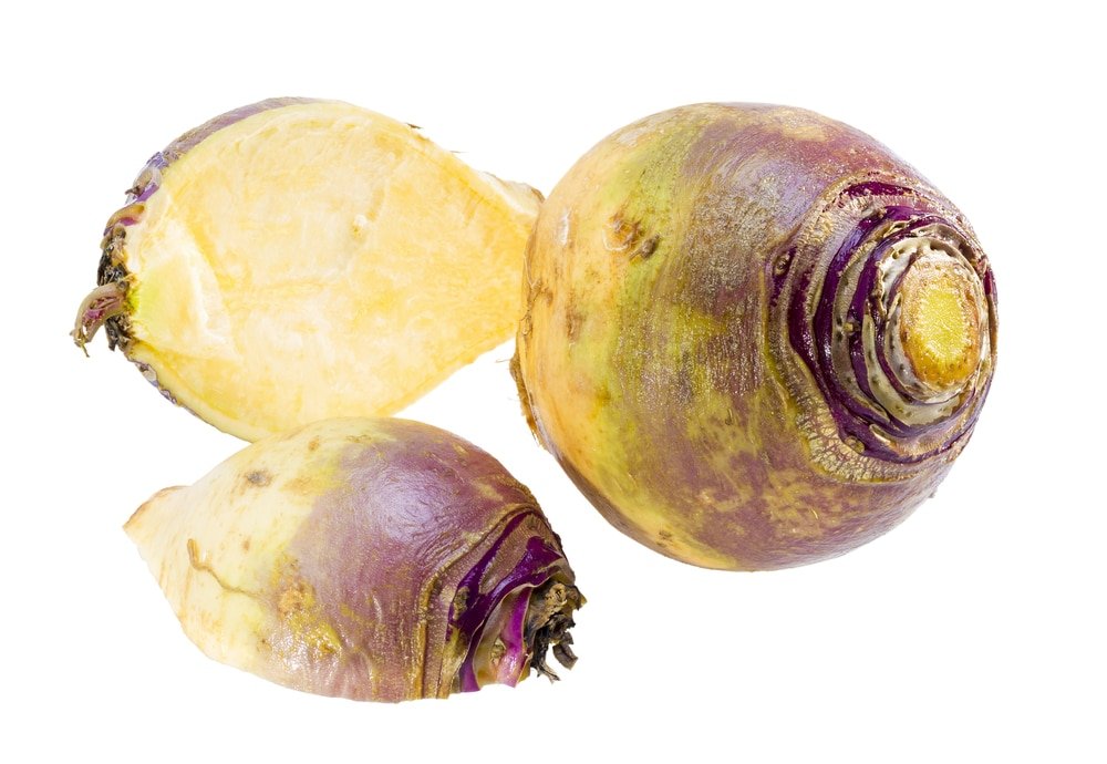 Rutabagas rutabaga root