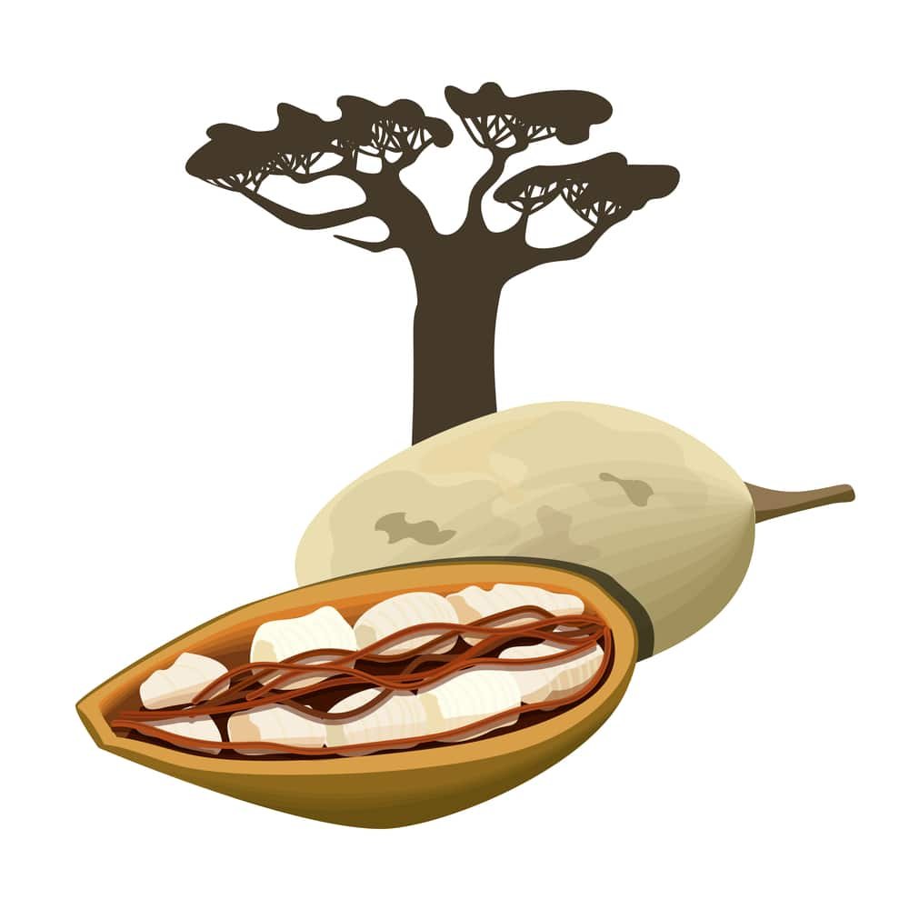 11 Amazing Health Benefits of Baobab - Natural Food Series