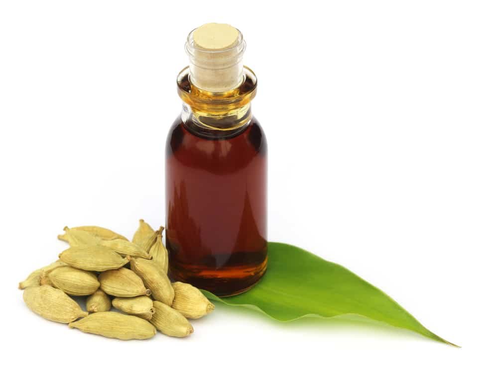 Cardamom Essential Oil