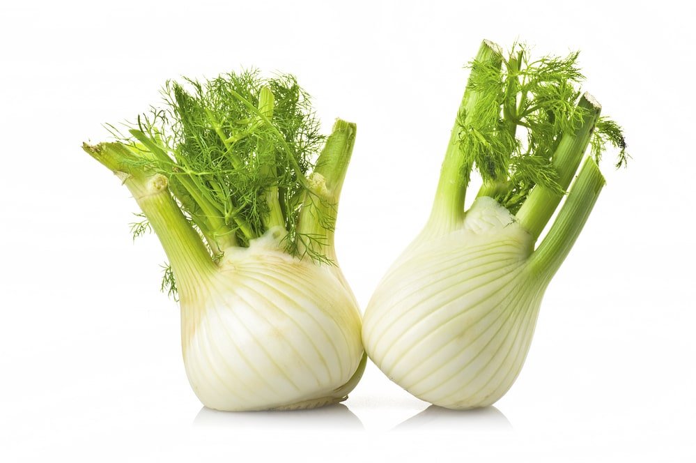 Fennel health benefits