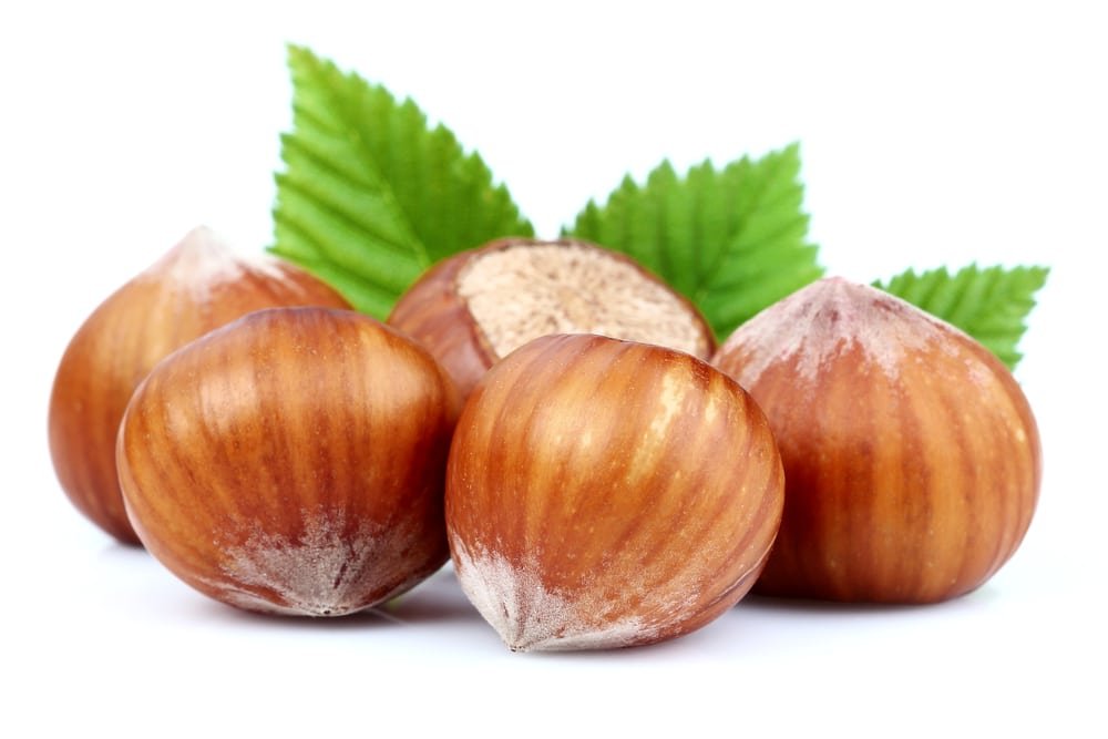 11 Amazing Health Benefits of Hazelnuts