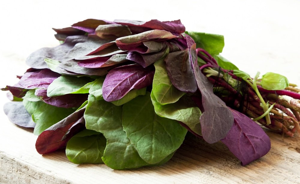 11 Amazing Health Benefits of Orach