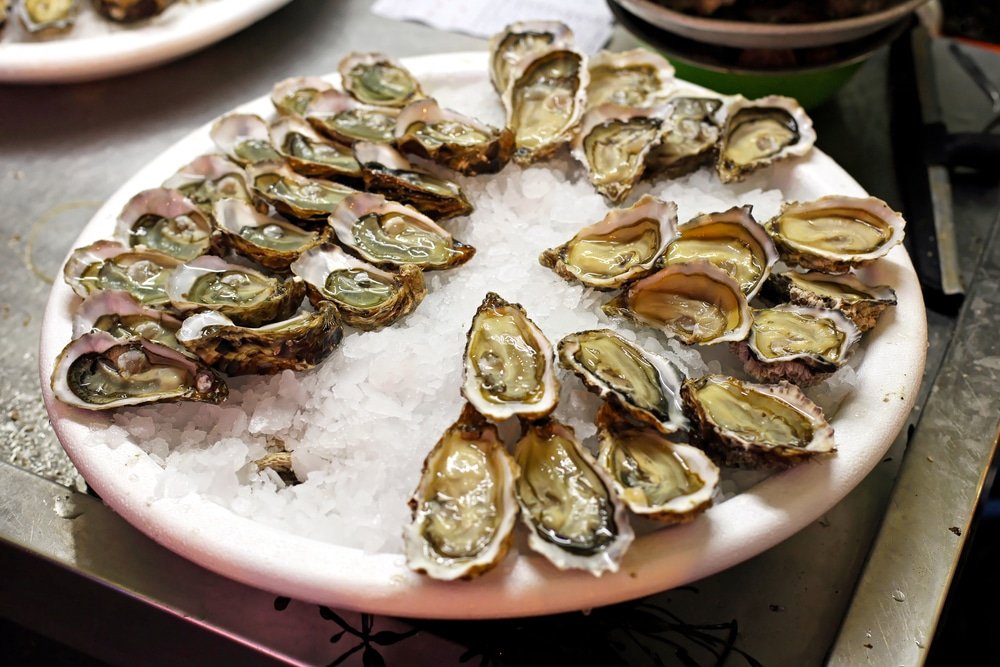 Oysters health benefits