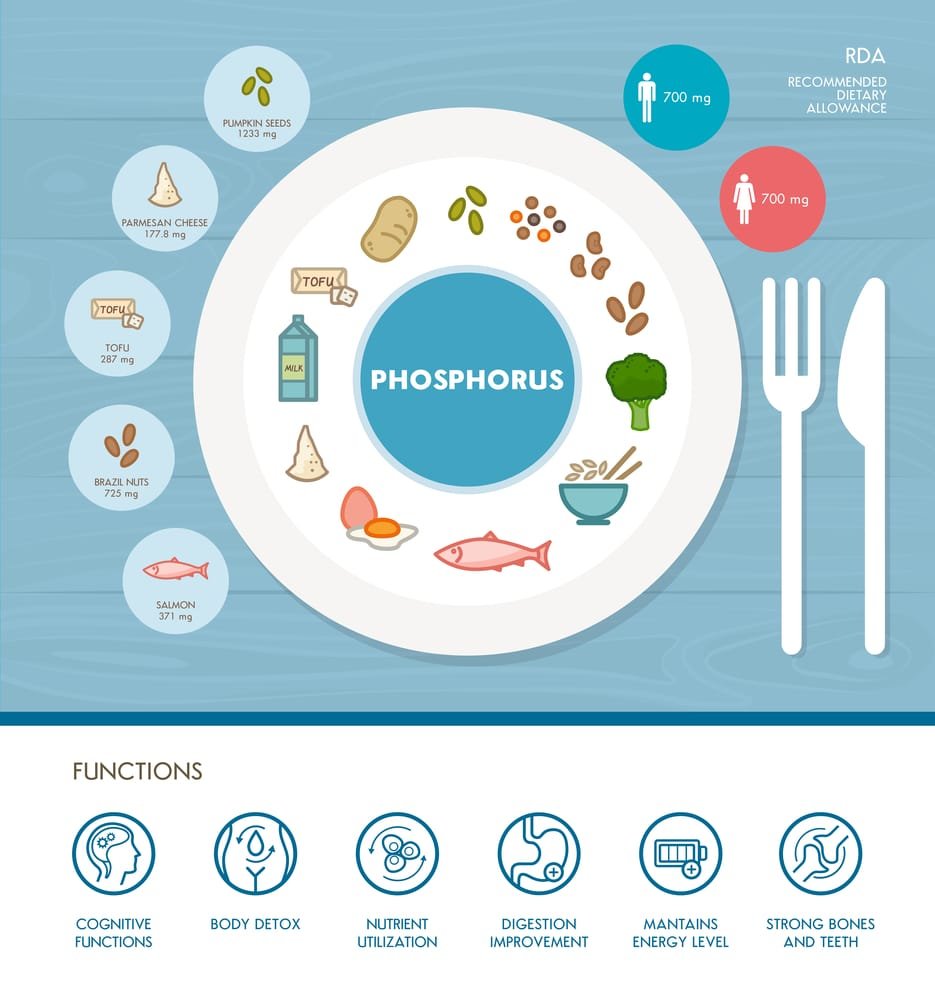 11 Amazing Health Benefits of Phosphorus