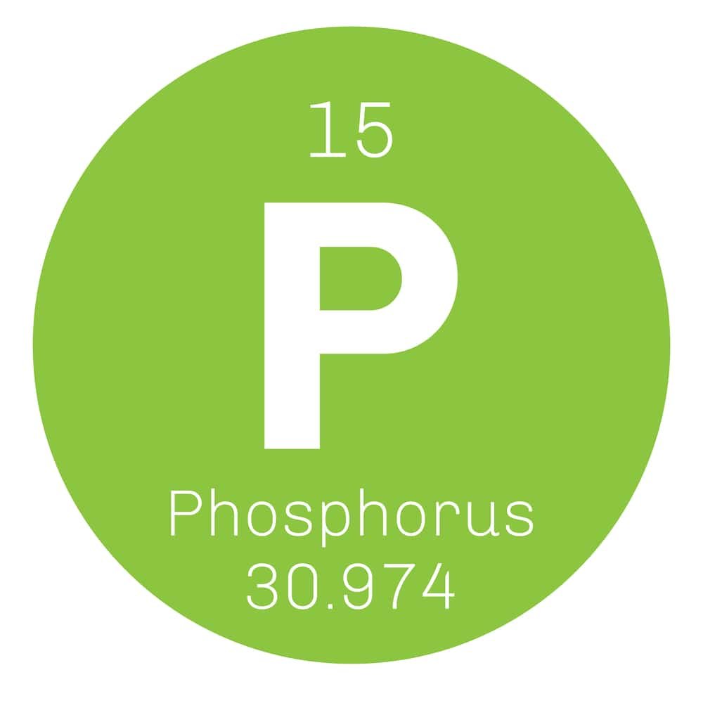 Phosphorus benefits