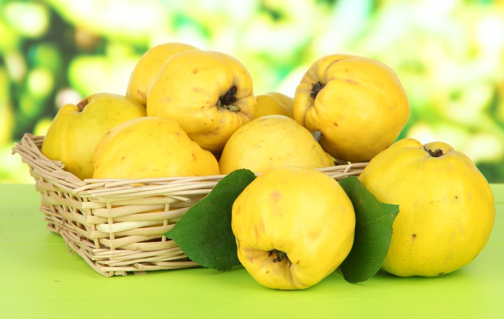 Quince Health benefits