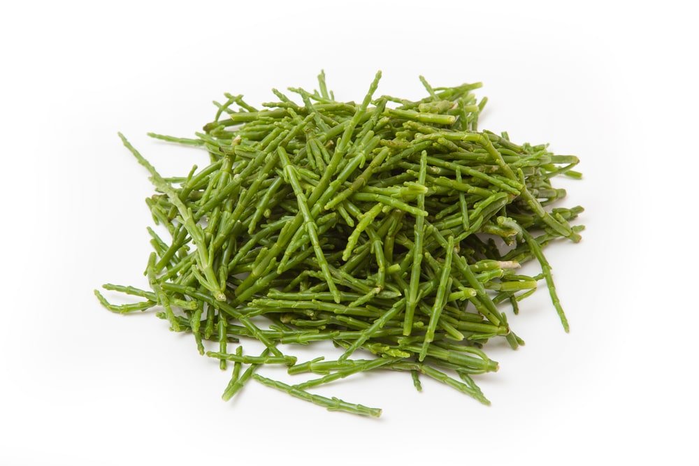 11 Amazing Health Benefits of Samphire