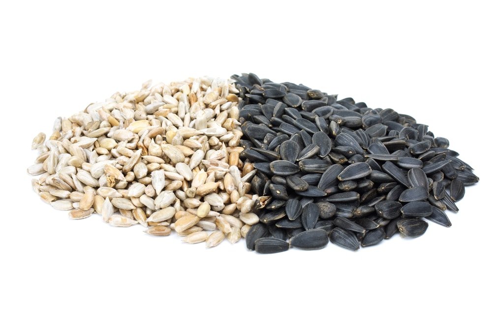 11 Amazing Health Benefits of Sunflower Seeds