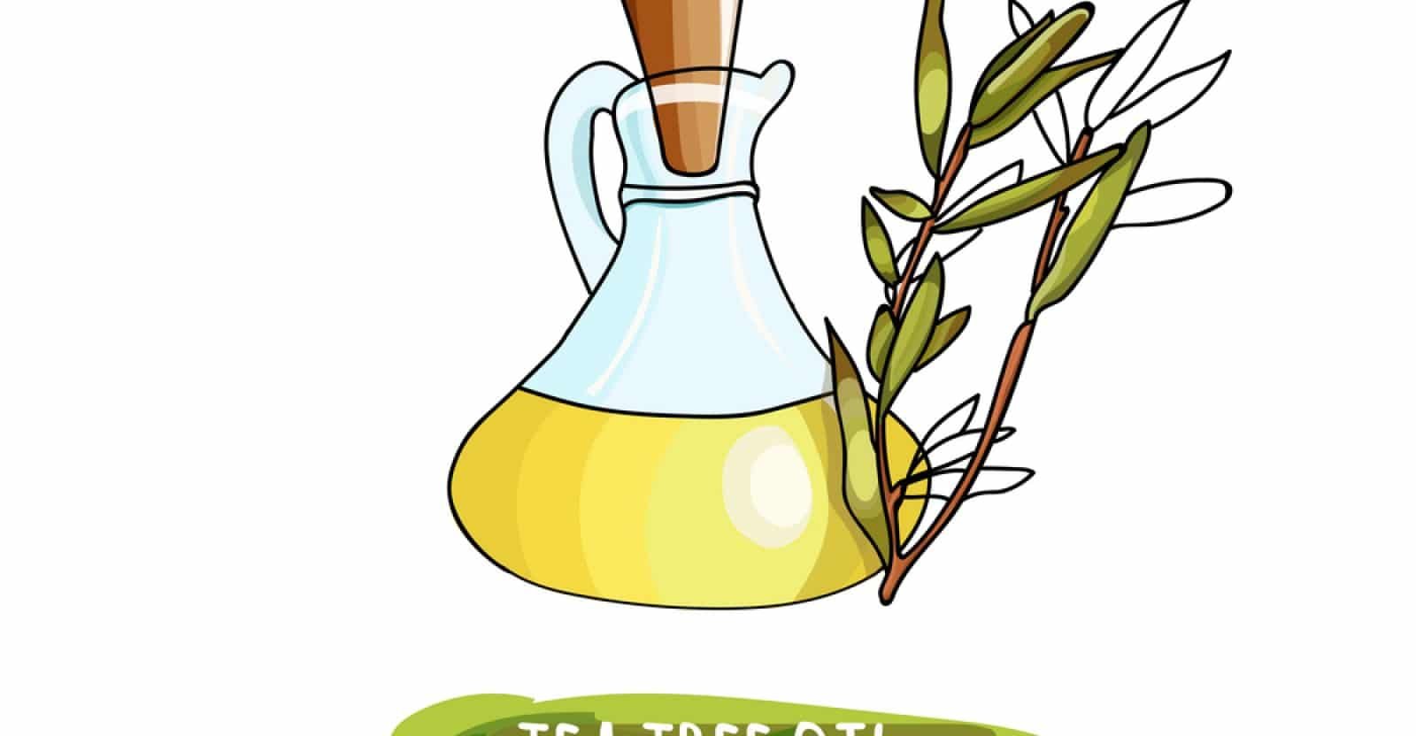 13-amazing-health-benefits-of-tea-tree-oil-natural-food-series