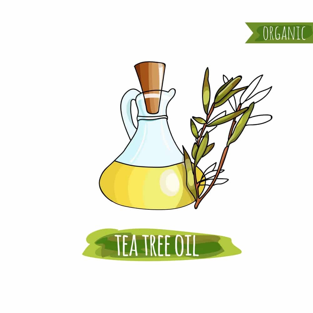 Tea Tree Oil Health benefits