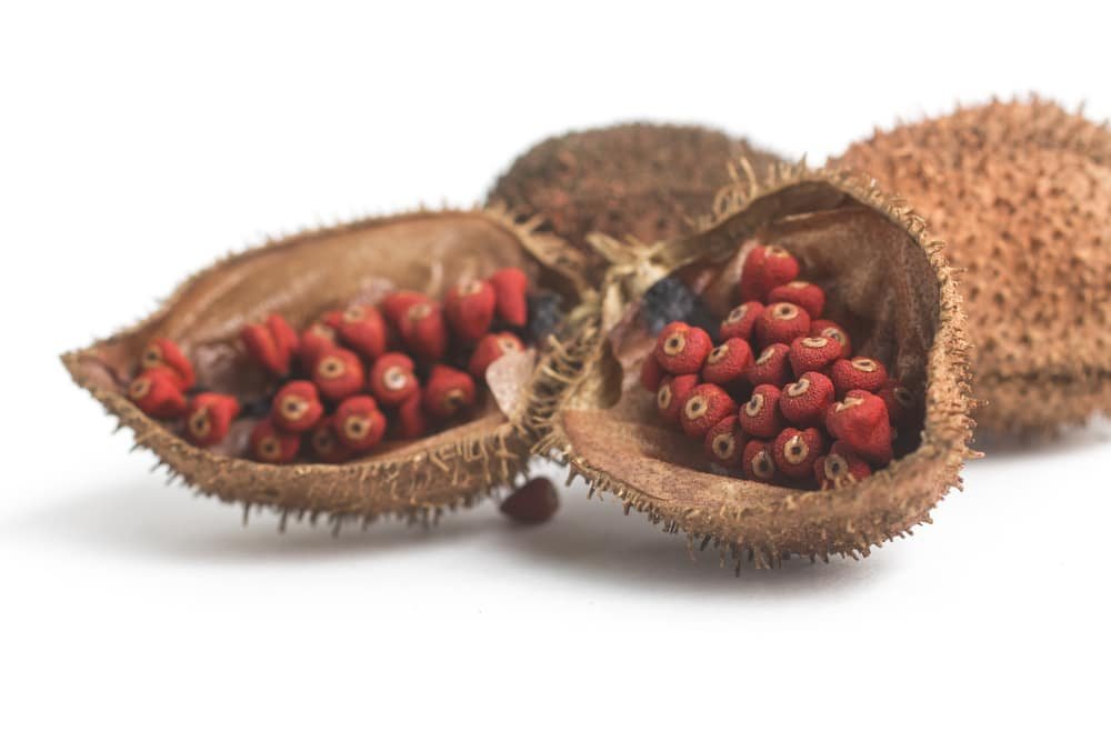 11 Impressive Health Benefits of Annatto (Atsuete)