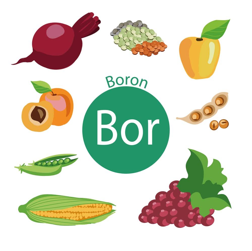 13 Amazing Health Benefits of Boron