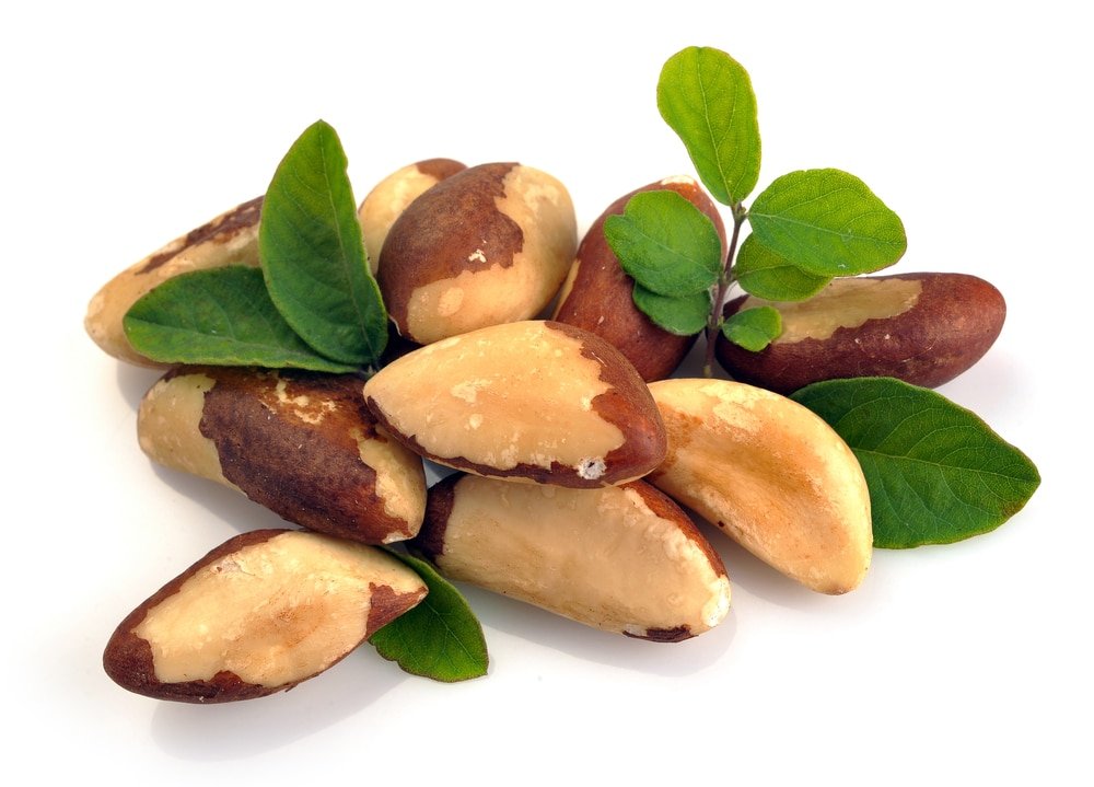 13 Surprising Health Benefits Of Brazil Nuts