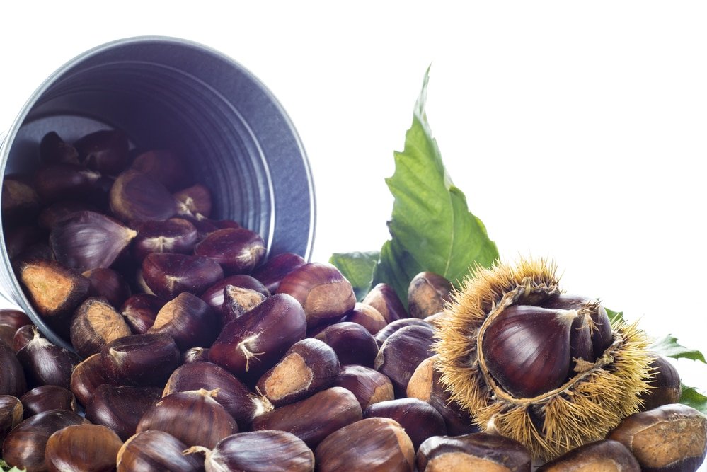 11 impressive benefits of Chestnuts 