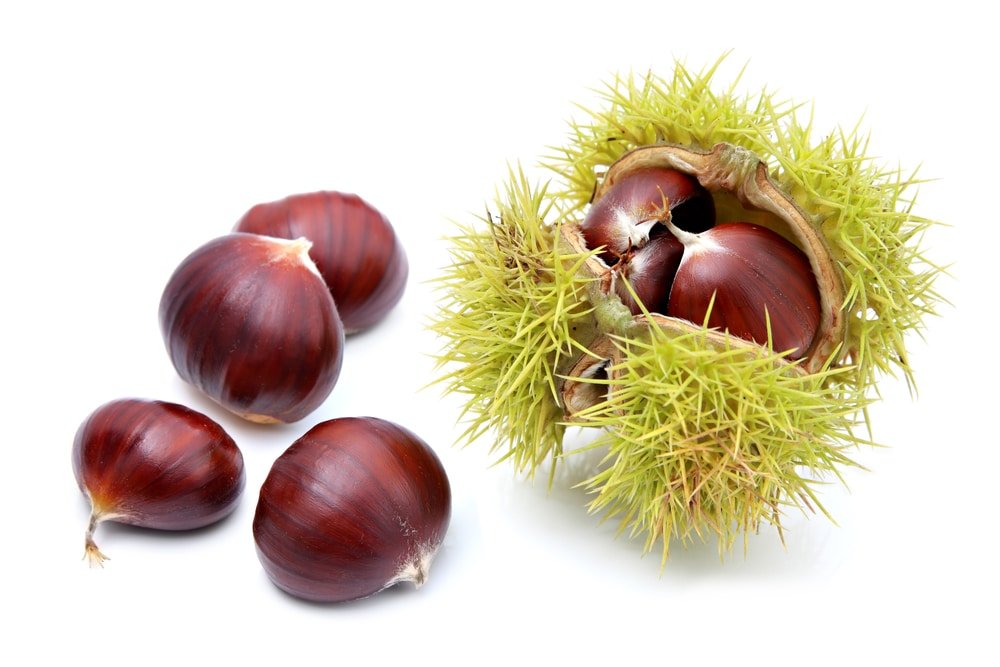 Chestnuts health benefits