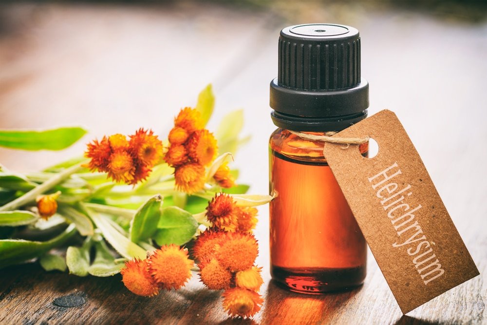 13 Amazing Benefits of Helichrysum Essential Oil - Natural Food Series