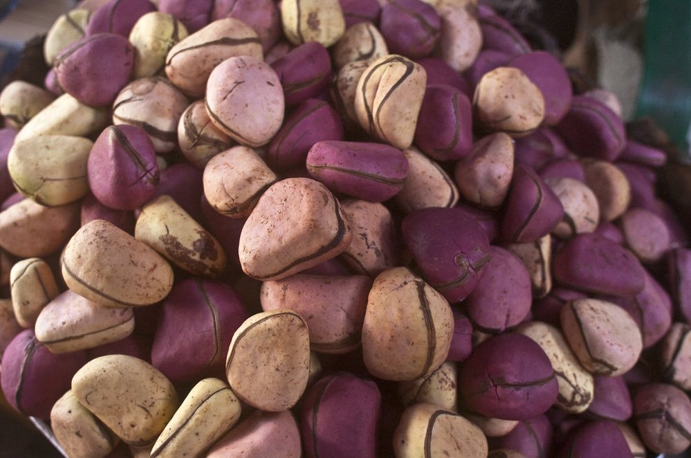 11 Health Benefits of Kola Nut - Natural Food Series