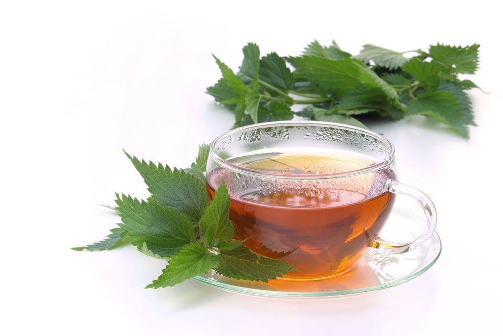 11 Amazing Health Benefits of Nettle Tea