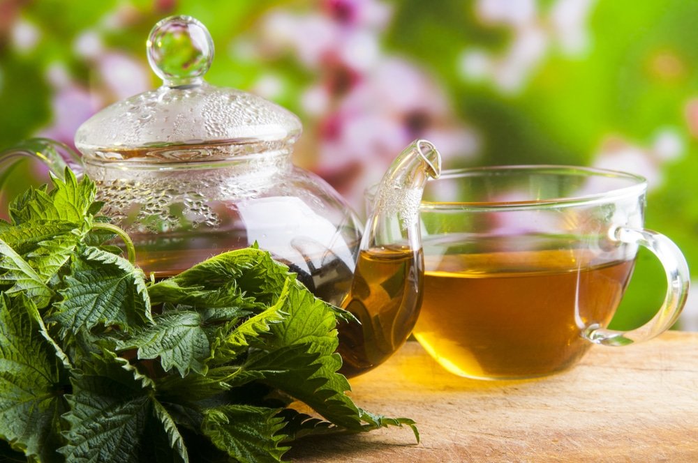 11 Amazing Health Benefits of Nettle Tea