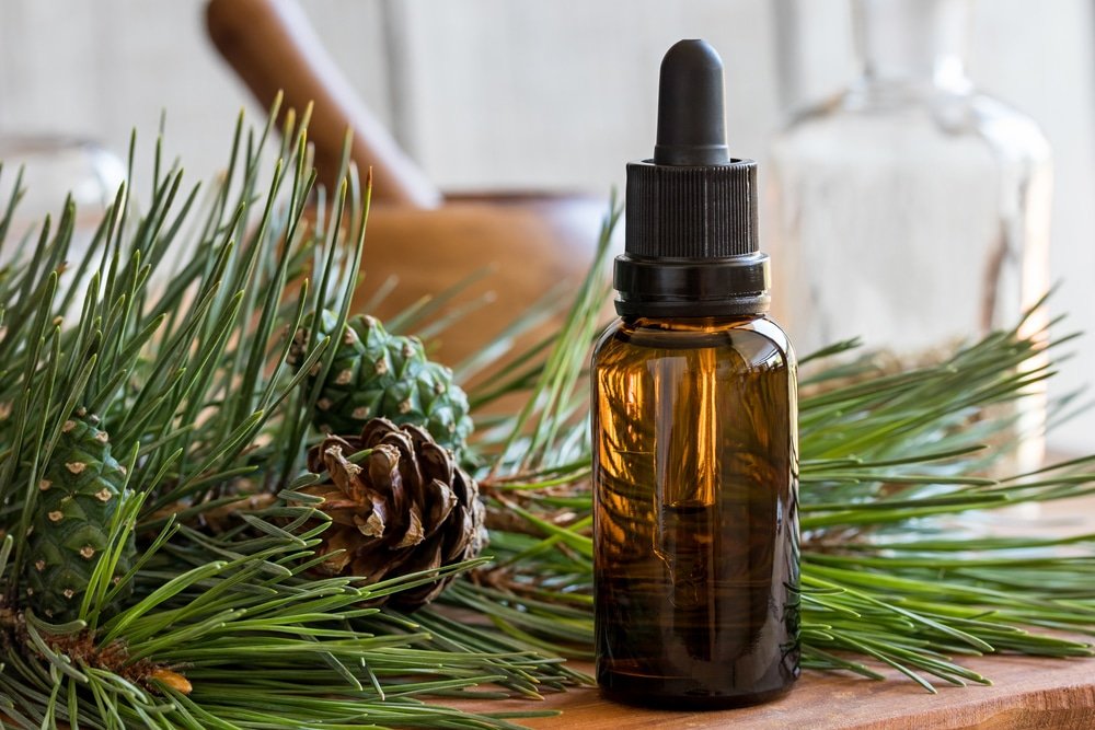 11 Amazing Benefits Of Pine Essential Oil Natural Food Series